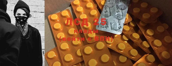 ECSTASY Бородино
