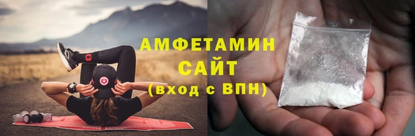 ECSTASY Бородино