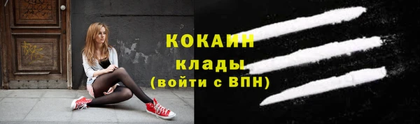 ECSTASY Бородино