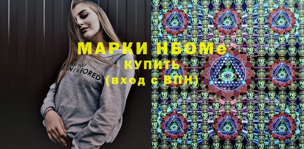 ECSTASY Бородино