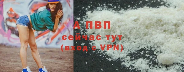 ECSTASY Бородино