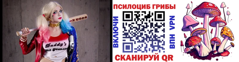 Псилоцибиновые грибы MAGIC MUSHROOMS  Кашин 